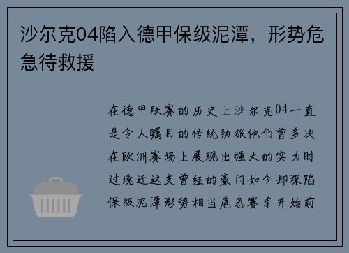 沙尔克04陷入德甲保级泥潭，形势危急待救援